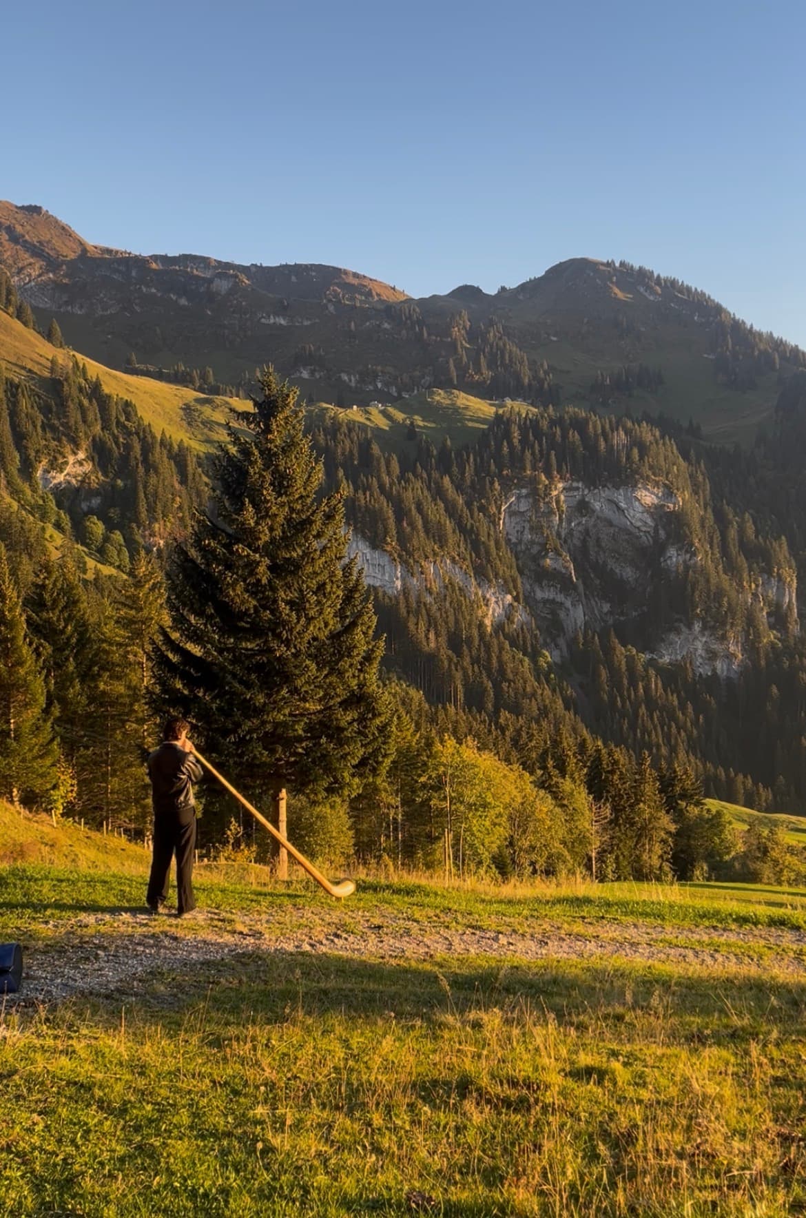 Ruben spielt Alphorn auf einer Alpwiese vor Bergen im Abendlicht
